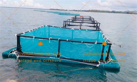 Aquaculture Nets and Cages .